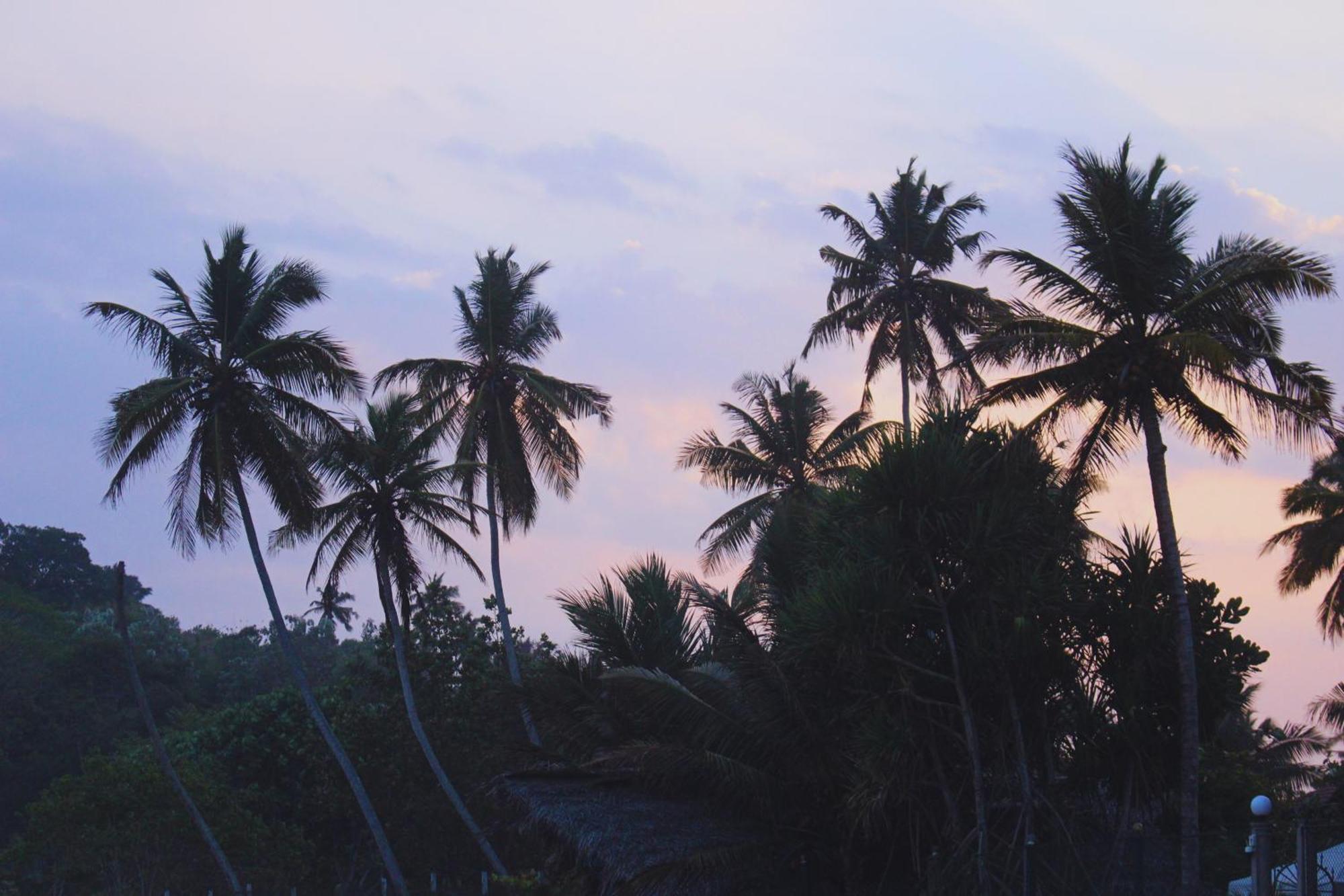 Calma - Surf, Yoga & Coffee On A Private Beach ดิคเวลลา ภายนอก รูปภาพ