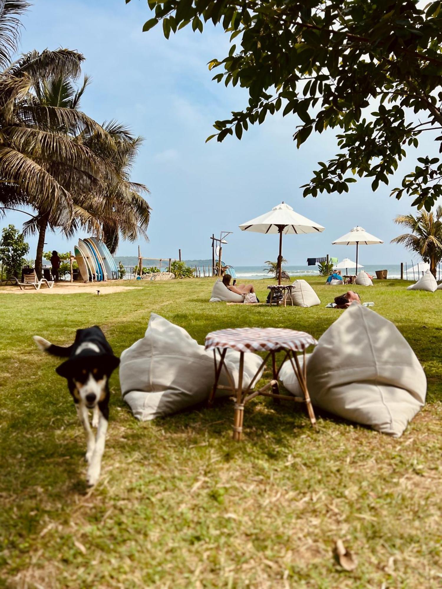 Calma - Surf, Yoga & Coffee On A Private Beach ดิคเวลลา ภายนอก รูปภาพ