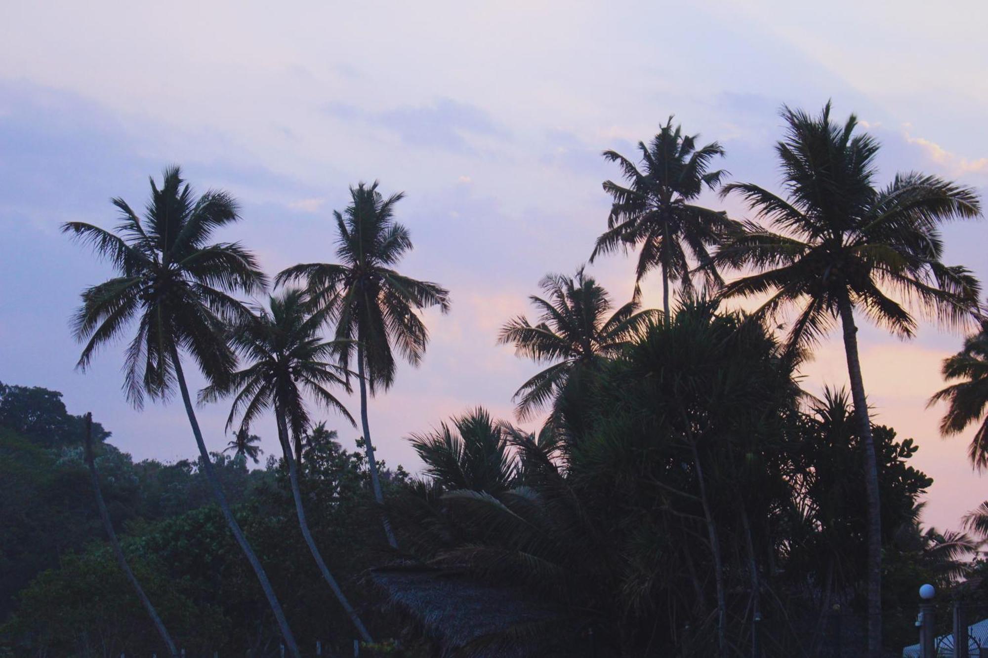 Calma - Surf, Yoga & Coffee On A Private Beach ดิคเวลลา ภายนอก รูปภาพ
